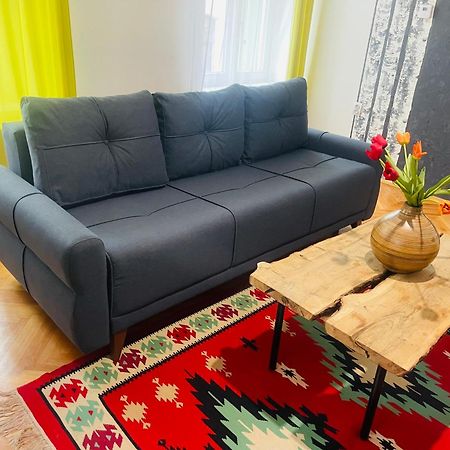 Spacious Stylish Apartment In Old Town Сибиу Екстериор снимка