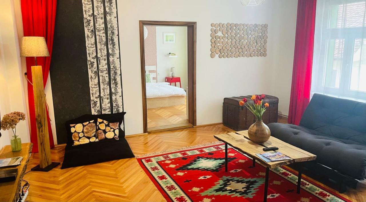 Spacious Stylish Apartment In Old Town Сибиу Екстериор снимка