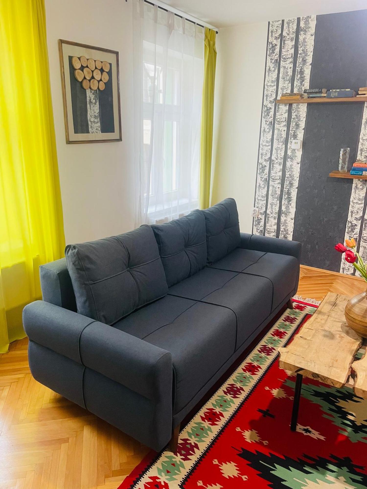 Spacious Stylish Apartment In Old Town Сибиу Екстериор снимка