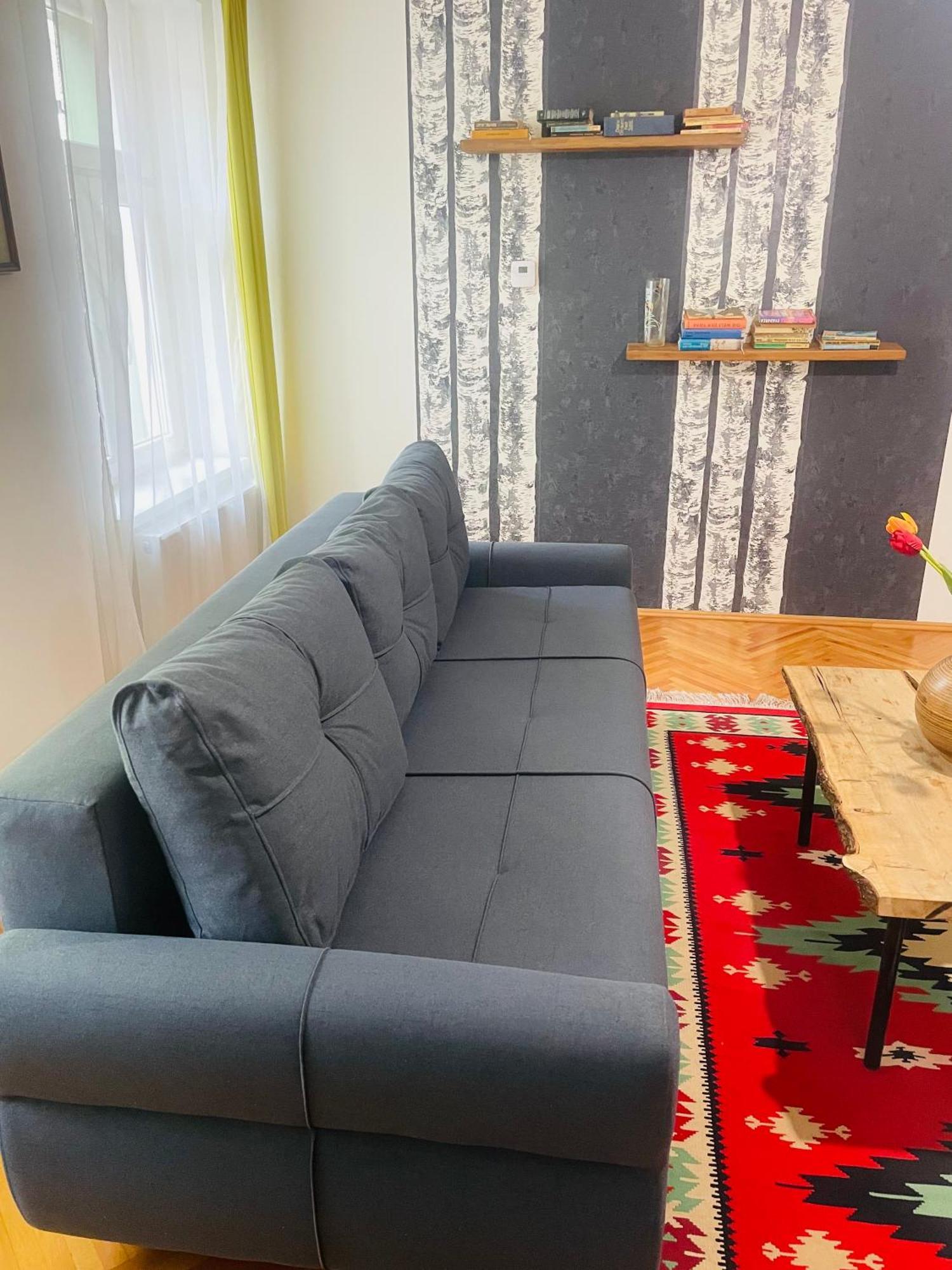 Spacious Stylish Apartment In Old Town Сибиу Екстериор снимка