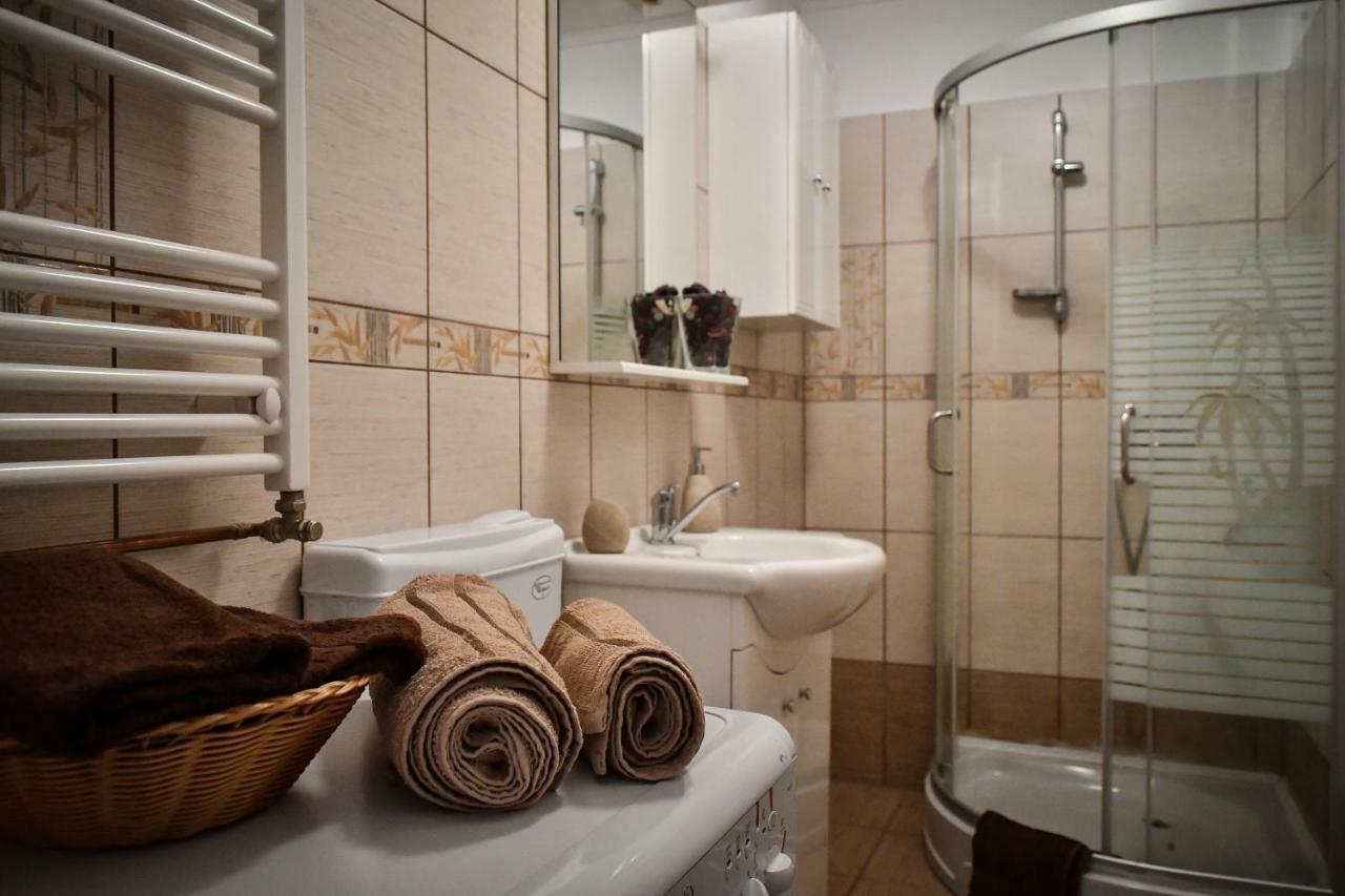 Spacious Stylish Apartment In Old Town Сибиу Екстериор снимка